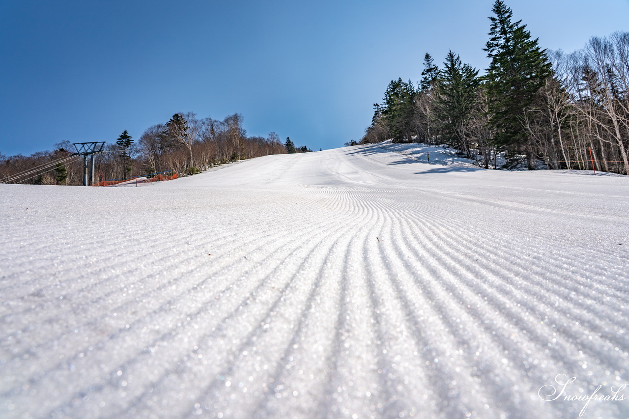キロロリゾート｜ポカポカ陽気で絶好の春スキー日和♪こんな日は、みんなで思いっきり春雪を満喫しましょう！
